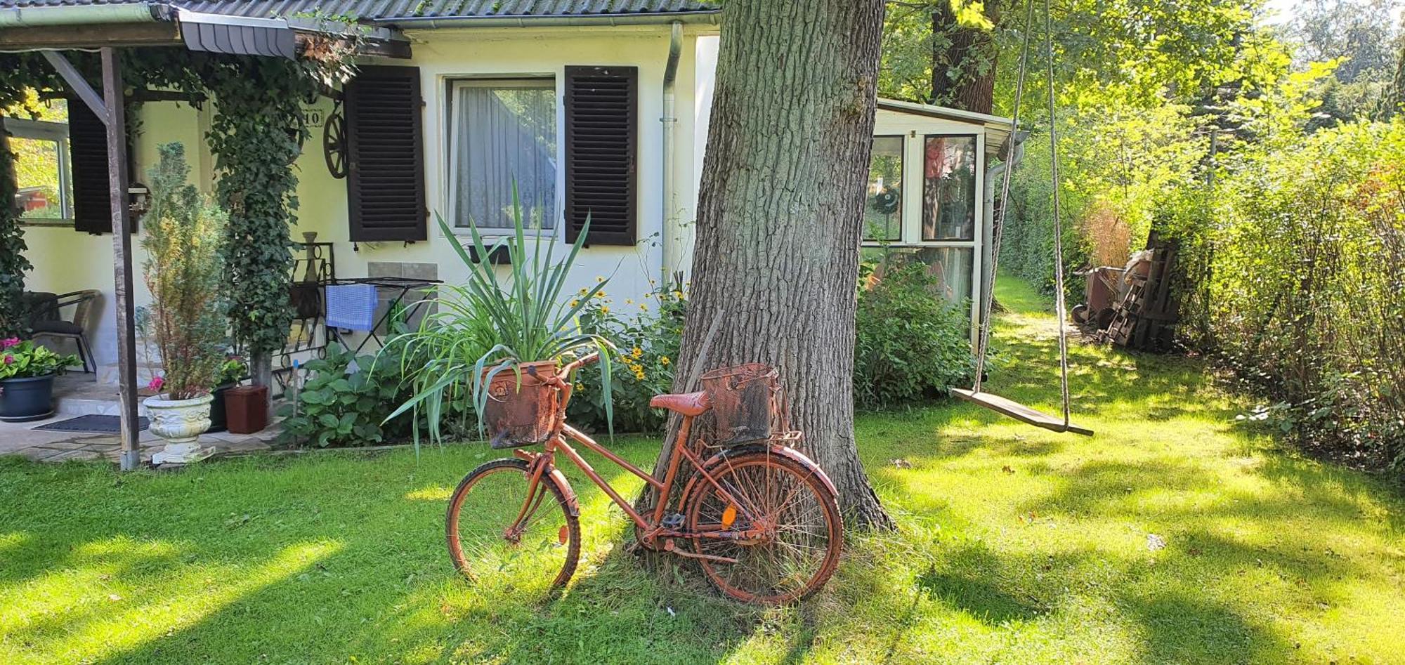 Ferienhaus Schatz Siedlung Schonwalde Dış mekan fotoğraf